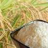 Agricultural products