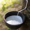 Rubber